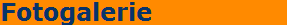 Fotogalerie